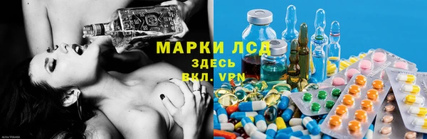 гашик Верея