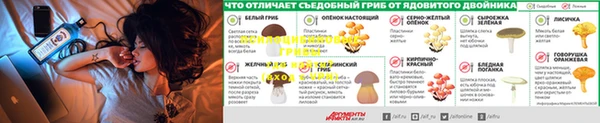 СК Волоколамск