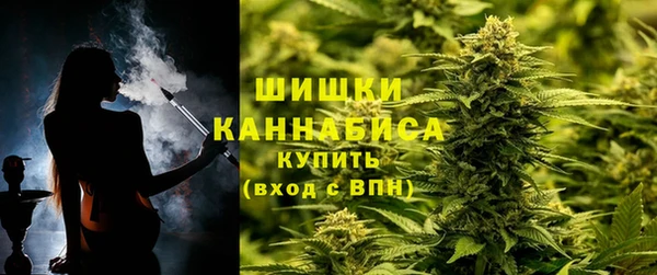 СК Волоколамск