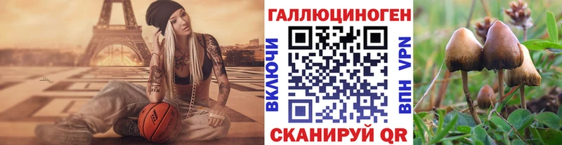 Галлюциногенные грибы GOLDEN TEACHER  Люберцы 